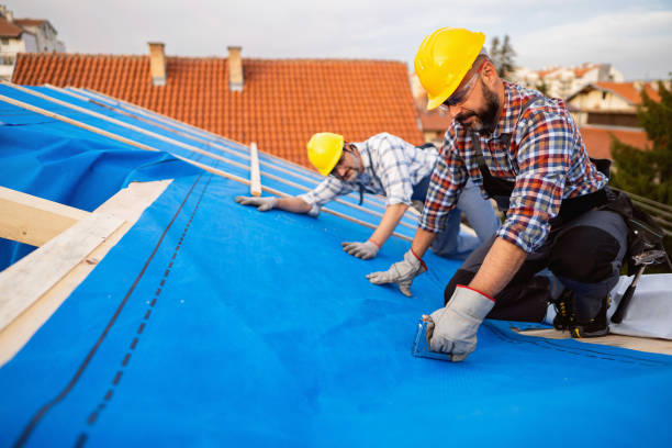 Best Roof Moss and Algae Removal  in Oceana, WV